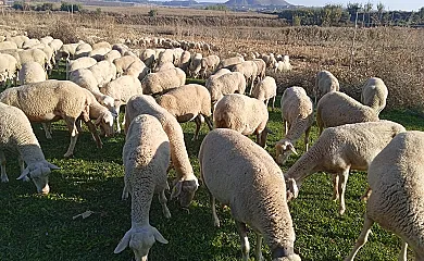 Casa Dalfó en Almenar (Lleida) - Foto 1