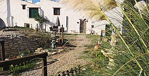 El Llano Quintanilla 007