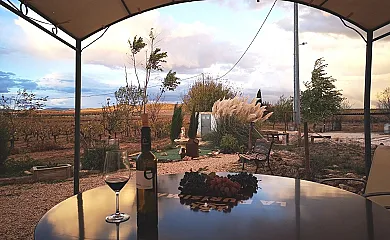 El Llano Quintanilla en Yecla (Murcia) - Foto 8