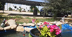 El Llano Quintanilla 004