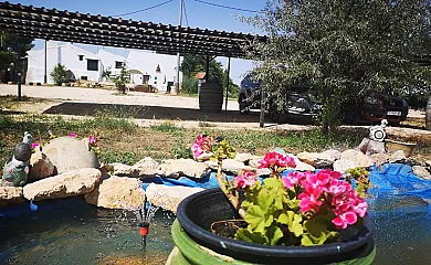 El Llano Quintanilla en Yecla (Murcia) - Foto 4