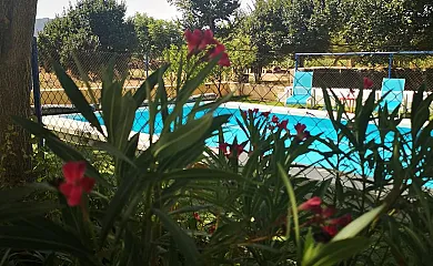 El Llano Quintanilla en Yecla (Murcia) - Foto 2