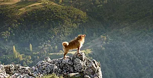 Casas Rurales Batán Río Tus 004