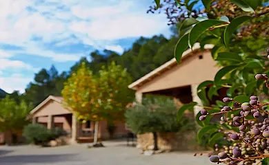 Casas Rurales Batán Río Tus en Yeste (Albacete) - Foto 13