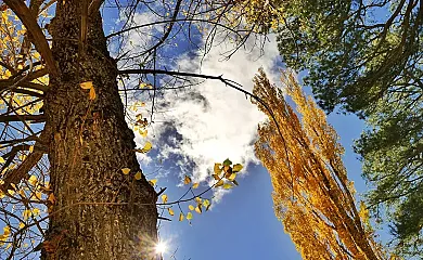 Casas Rurales Batán Río Tus en Yeste (Albacete) - Foto 16