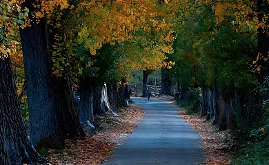 Casas Rurales Batán Río Tus en Yeste (Albacete) - Foto 19