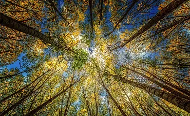 Casas Rurales Batán Río Tus en Yeste (Albacete) - Foto 22