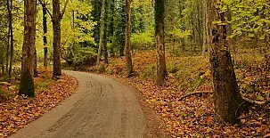 Casas Rurales Batán Río Tus 002