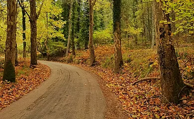 Casas Rurales Batán Río Tus en Yeste (Albacete) - Foto 2
