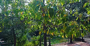 Las Casas De la Vega 0034