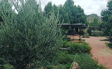 Las Casas De la Vega en Enguidanos (Cuenca) - Foto 7