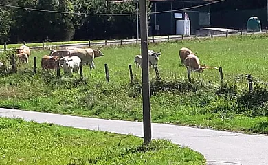 Irigoien en Zubieta (Guipuzcoa) - Foto 24