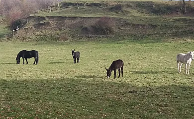 Alojamientos Rurales Ca la Quima en Rupit i Pruit (Barcelona) - Foto 19