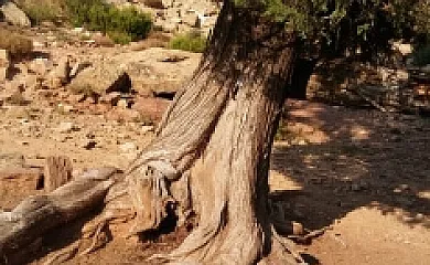 Casa Ariana en Alpuente (Valencia) - Foto 23