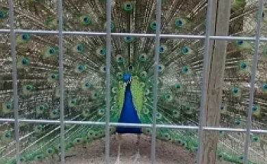 Cloan Rural en Bullas (Murcia) - Foto 7