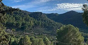 La Casa de la Fuensanta 003