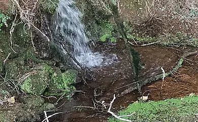 Casa Rural Los Pinches en Cazalla de la Sierra (Sevilla) - Foto 22