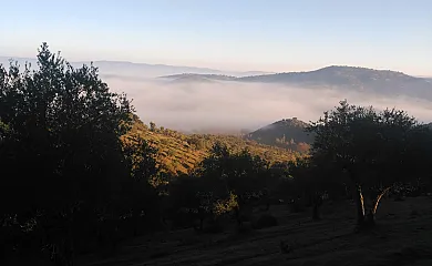 Casa Rural Los Pinches en Cazalla de la Sierra (Sevilla) - Foto 23