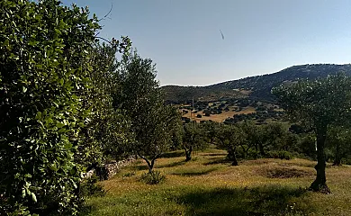Casa Rural Los Pinches en Cazalla de la Sierra (Sevilla) - Foto 24