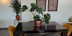 Casa Rural La Marquesiana 0027