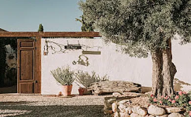 Finca el Pocico en Corvera (Murcia) - Foto 7