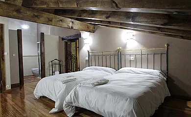 Cantarranas en Ciudad Rodrigo (Salamanca) - Foto 16