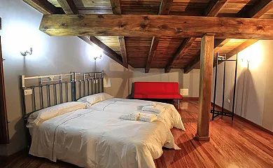 Cantarranas en Ciudad Rodrigo (Salamanca) - Foto 22