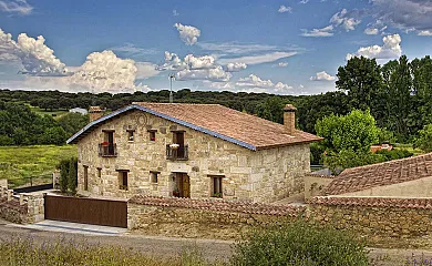 Cantarranas en Ciudad Rodrigo (Salamanca) - Foto 25