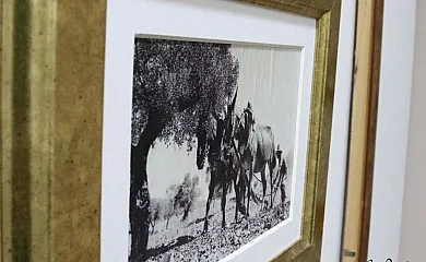 Casa Rural Javier Romero en Villarejo De Fuentes (Cuenca) - Foto 25