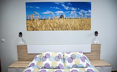 La Casa de los Bisa en Sanchidrian (Ávila) - Foto 16