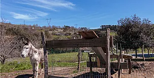 Casa Rural Aranburu 003