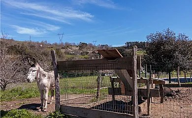 Casa Rural Aranburu en Zestoa (Guipuzcoa) - Foto 3