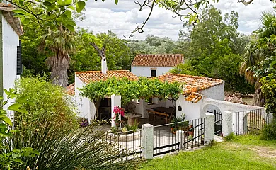 Molino Naranjo en Medina Sidonia (Cádiz) - Foto 1