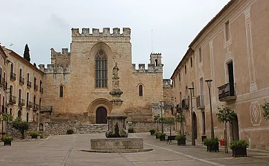 Cas Rural L'Abadia de Santes Creus en Santes Creus (Tarragona) - Foto 1