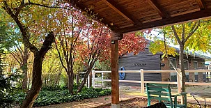 HEARTS & PONIES Apartamentos con piscinas privadas de invierno y verano y suites con jacuzzis 003