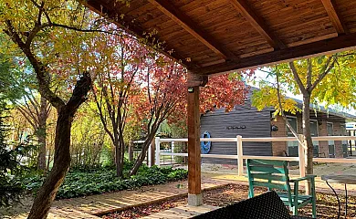 HEARTS & PONIES Apartamentos con piscinas privadas de invierno y verano y suites con jacuzzis en Chinchón (Madrid) - Foto 3