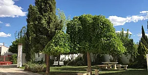 Heart & Ponie Retiro Rural Privado 0035