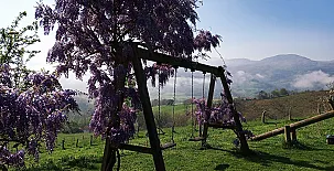 Vivienda Vacacional Heredad de La Cueste 003