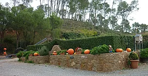 Masía Mas Puig Roig 0015