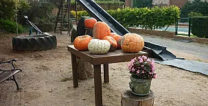 Masía Mas Puig Roig 005