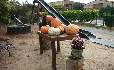 Masía Mas Puig Roig en Llabia (Girona) - Foto 5