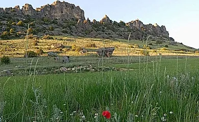 Casa Rural La Corneja en Huermeces Del Cerro (Guadalajara) - Foto 16