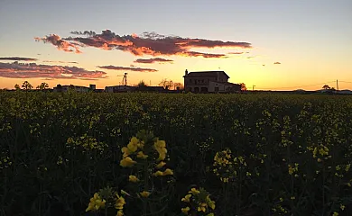 Abellerol Rural en Osso De Sio (Lleida) - Foto 14