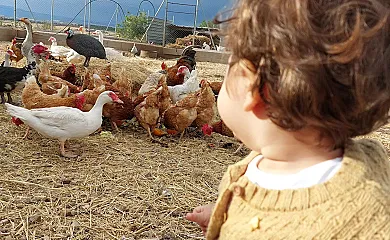 Abellerol Rural en Osso De Sio (Lleida) - Foto 17