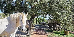 Finca Heredad La Boquilla 0026