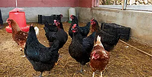 Finca Heredad La Boquilla 0027