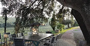 Finca Heredad La Boquilla 0033