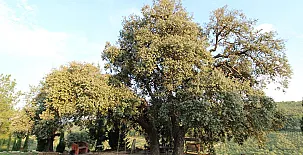 Finca Heredad La Boquilla 0034