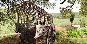 Finca Heredad La Boquilla 0035