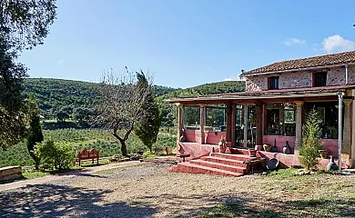 Finca Heredad La Boquilla en Enguera (Valencia) - Foto 3